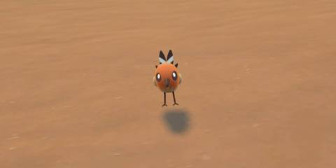Pokemon Shiny Fletchling