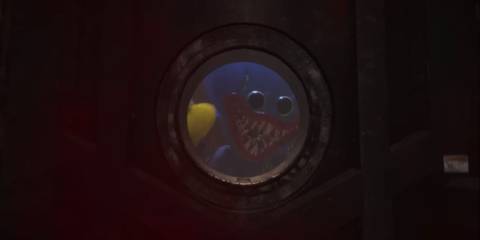 poppy playtime huggy wuggy(6)