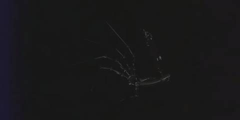  the prototype hand on tape in poppy playtime 