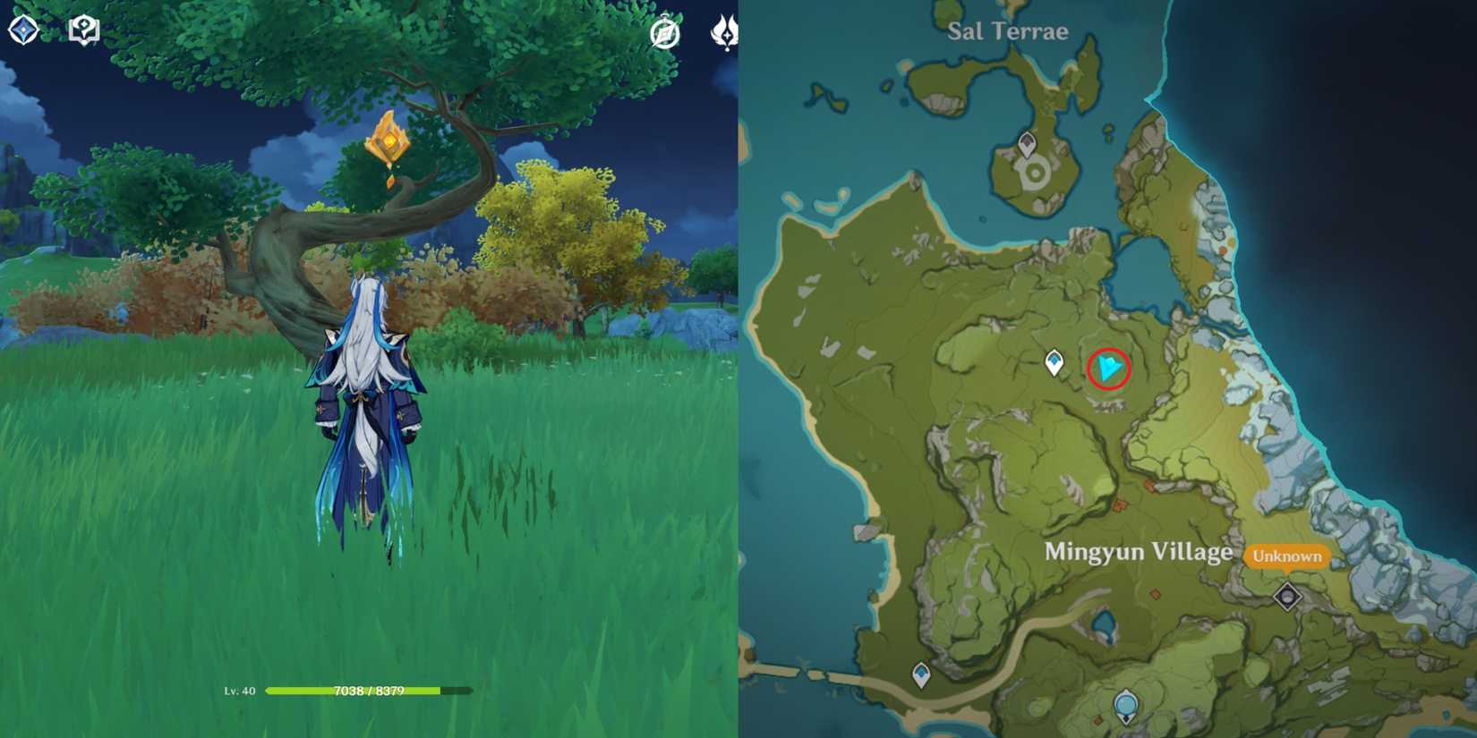 Qiongji Estuary Geoculus Location 1