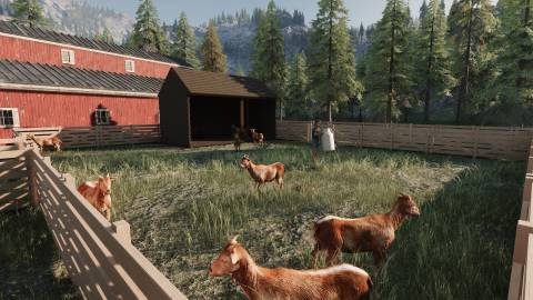 Ranch Simulator Press Image 15