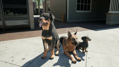 Ranch Simulator Press Image 6