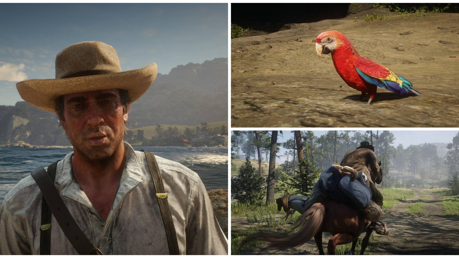 Rdr Chapter 5 Red Dead Redemption 2: Chapter 5's Missable Content