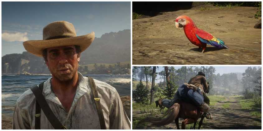 Red Dead Redemption 2: Every Guarma Animal Location