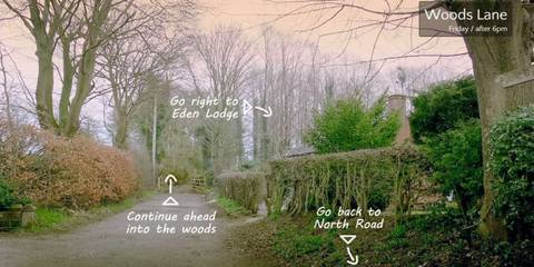 Realistic Detective Games- Contradiction