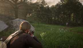 Dead Rabbit Rdr2 How to Get Three Perfect-Quality Rabbit Pelts (RDR2 Master Hunter 2 ...