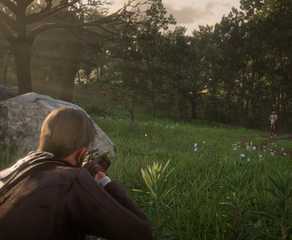 Dead Rabbit Rdr2 How to Get Three Perfect-Quality Rabbit Pelts (RDR2 Master Hunter 2 ...
