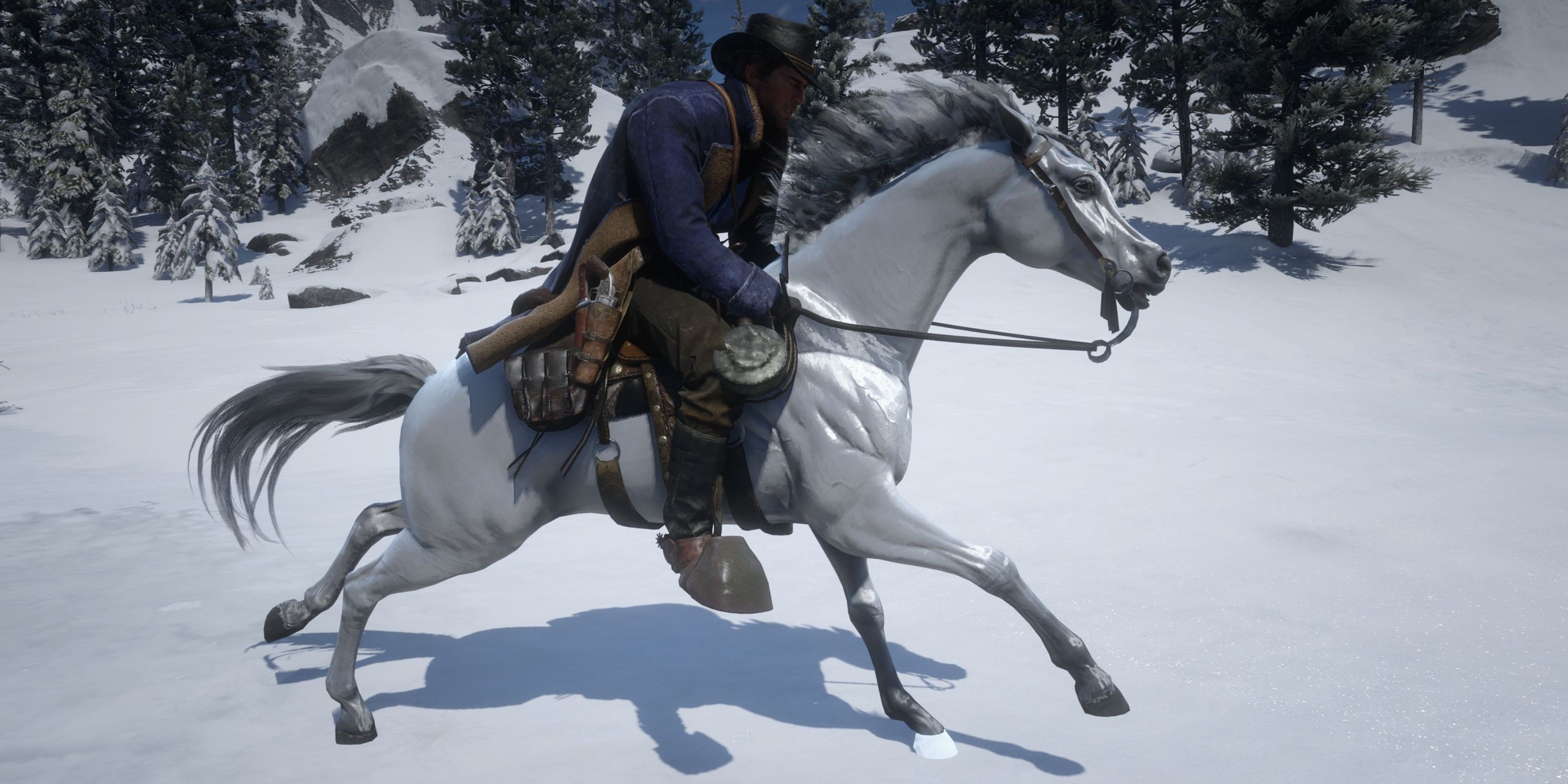 riding the white arabian