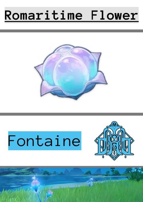 an infographic of Romaritime Flowers and fontaine's emblem