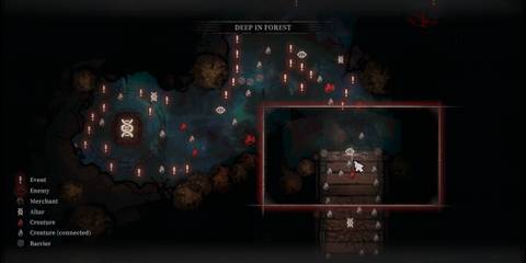 roots devour deep in forest