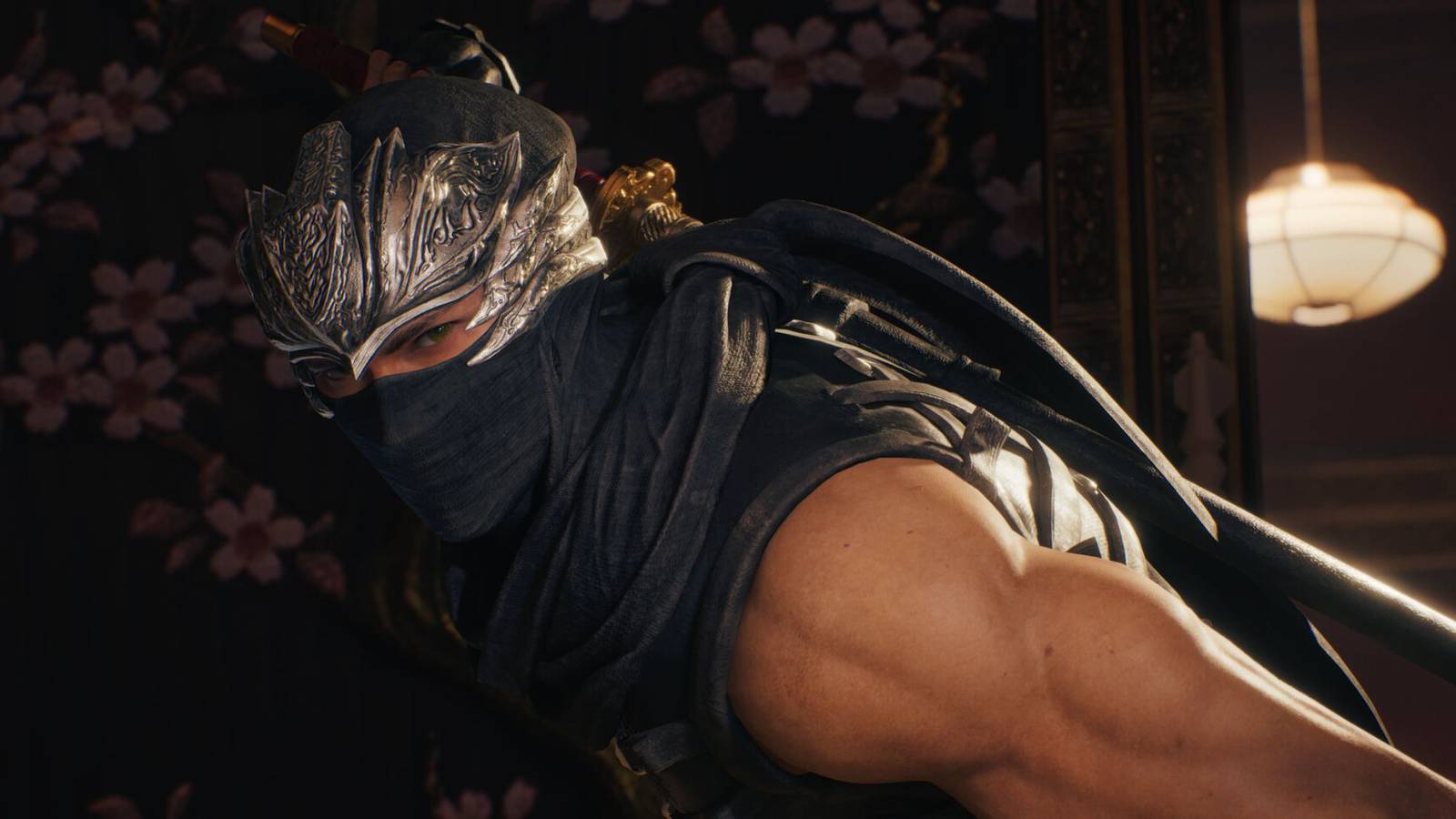 ninja gaiden 2 black february 2025 update