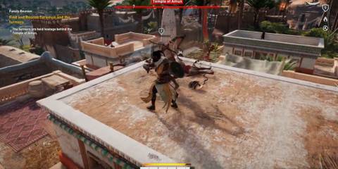 bayek in combat