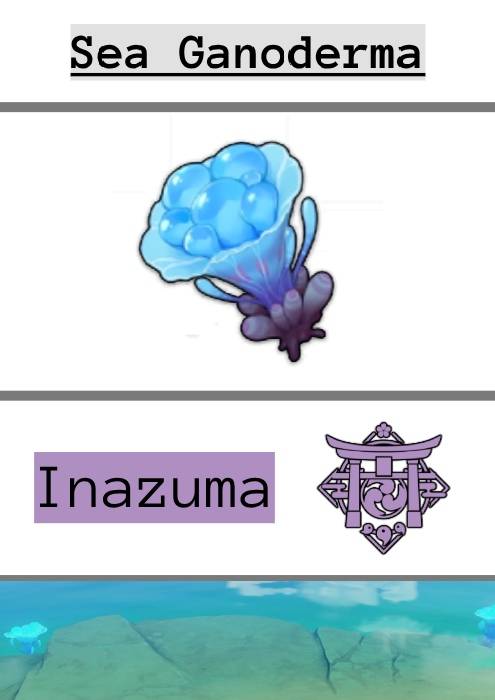 Sea Ganoderma infographic - where to find it