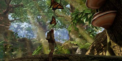 Smalland Survive the Wilds butterflies