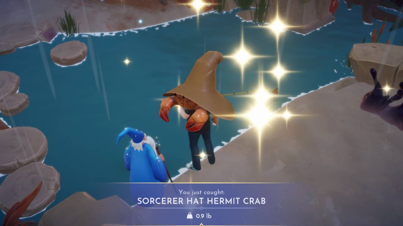 sorcerer hat hermit crab ddv 