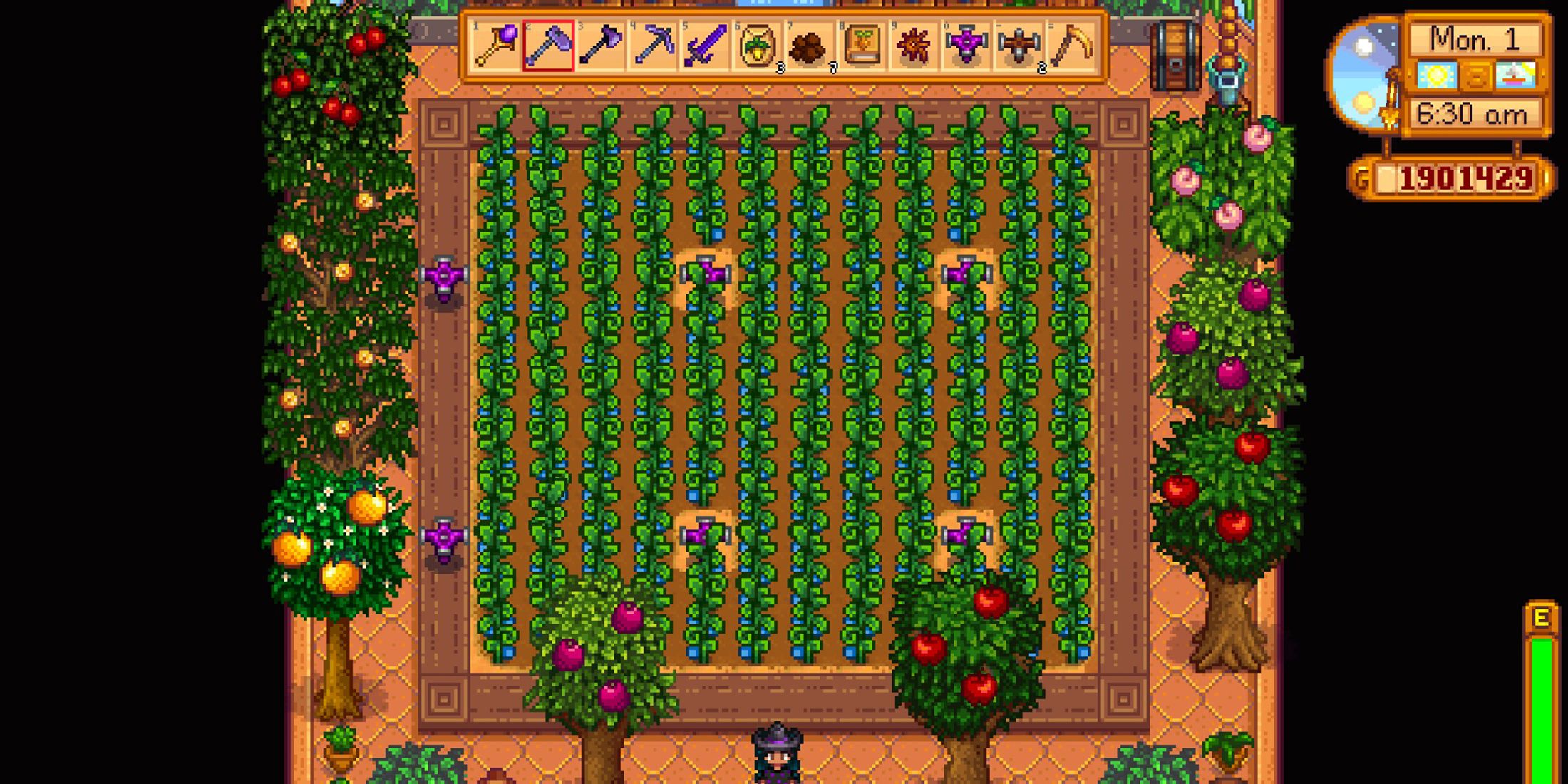 stardew-valley-greenhouse-sprinkler-layout