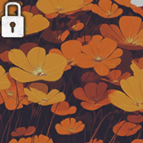 Sunblossom Camo in Black Ops 6 