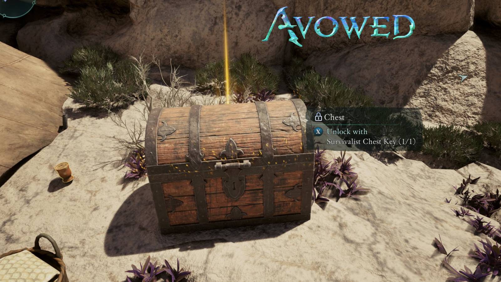 Survivalist Chest Key Location Avowed