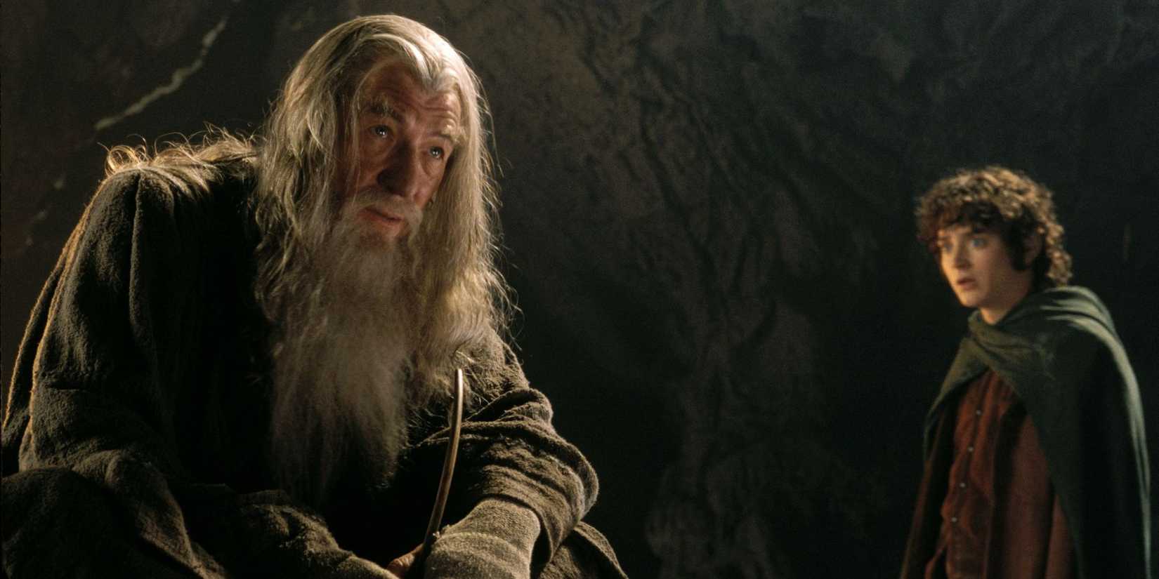 The Lord Of The Rings The Fellowship Of The Ring Frodo And Gandalf