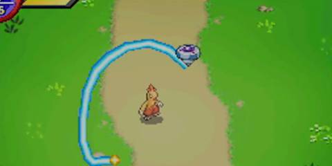 The player capturing a wild Combusken.