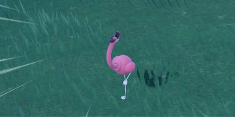 The player encounters a wild Flamigo.