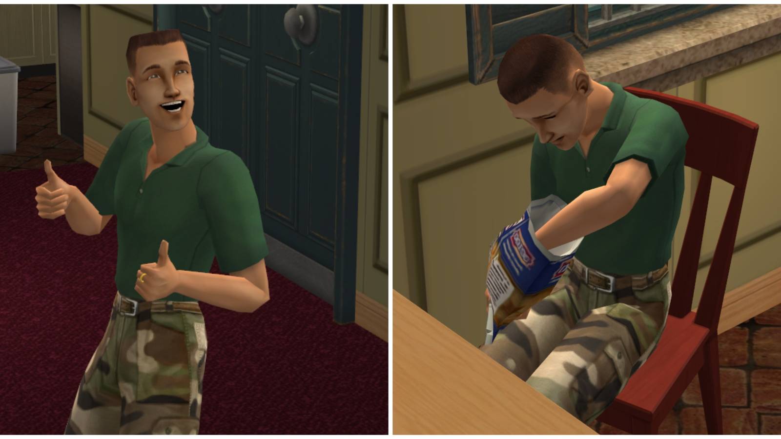 the sims 2 full needs