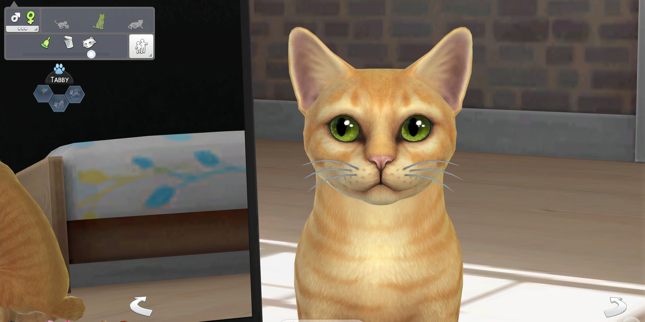 The Best Mods For Cats In The Sims 4