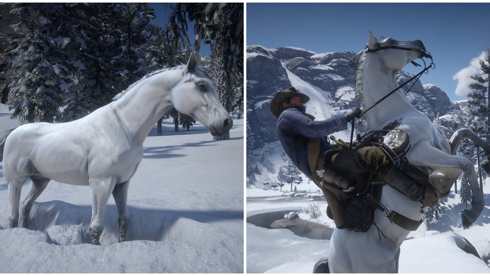 the white arabian in rdr2
