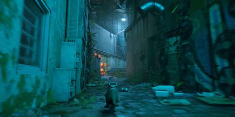 Tinpot Alleyway in Stray