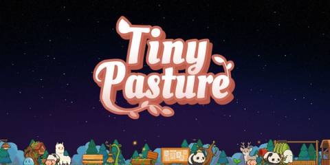 tiny-pasture-night-forest-farm