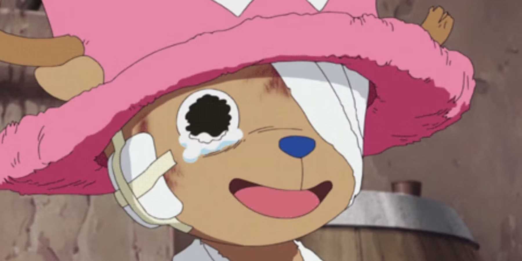 Chopper Unconrollable Rumble One Piece: The Rumble Balls, Explained