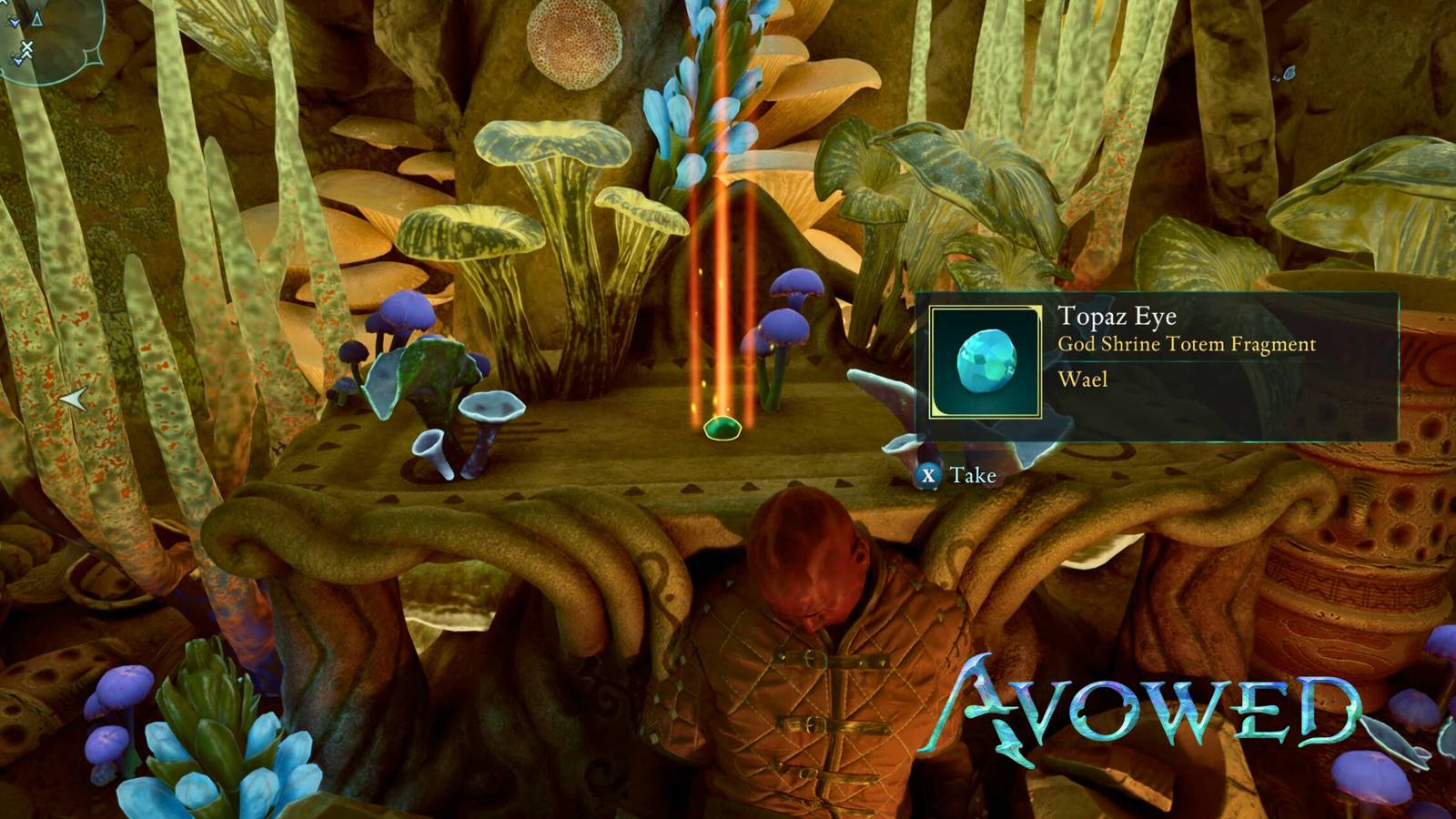 Topaz Eye Totem Fragment Location In Avowed