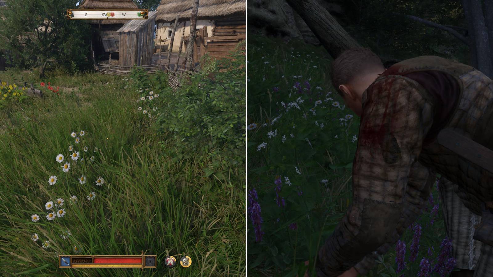 The Player Facing & Picking Chamomile