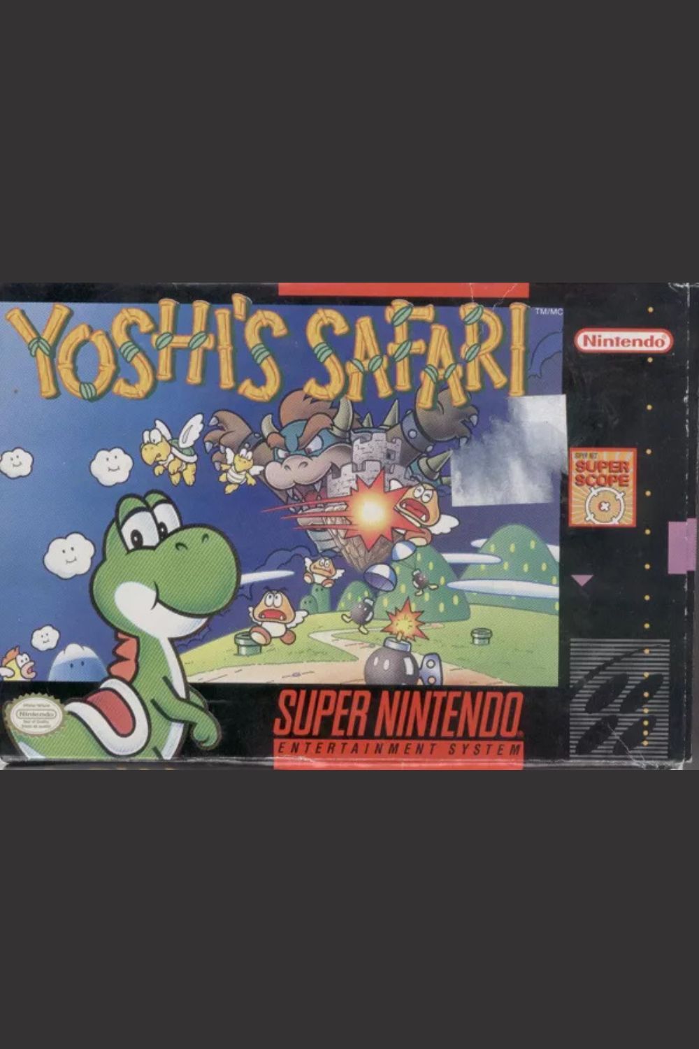 Yoshi's Safari Cover Art Image 