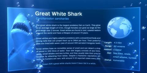 Information on the Great White Shark in Ocean Rift