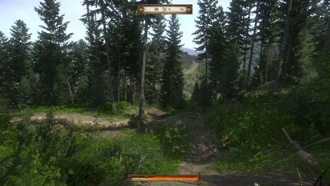 Henry walking through a forest in Kingdom Come: Deliverance