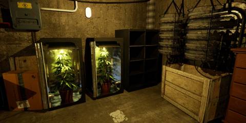 Growing weed in Drug Dealer Simulator 2