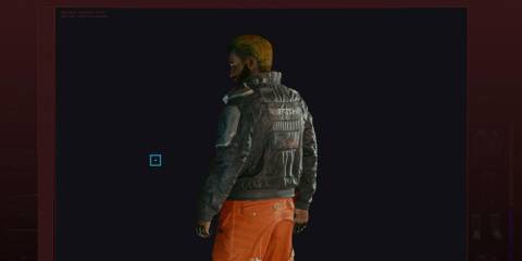 Jacket in Cyberpunk 2077