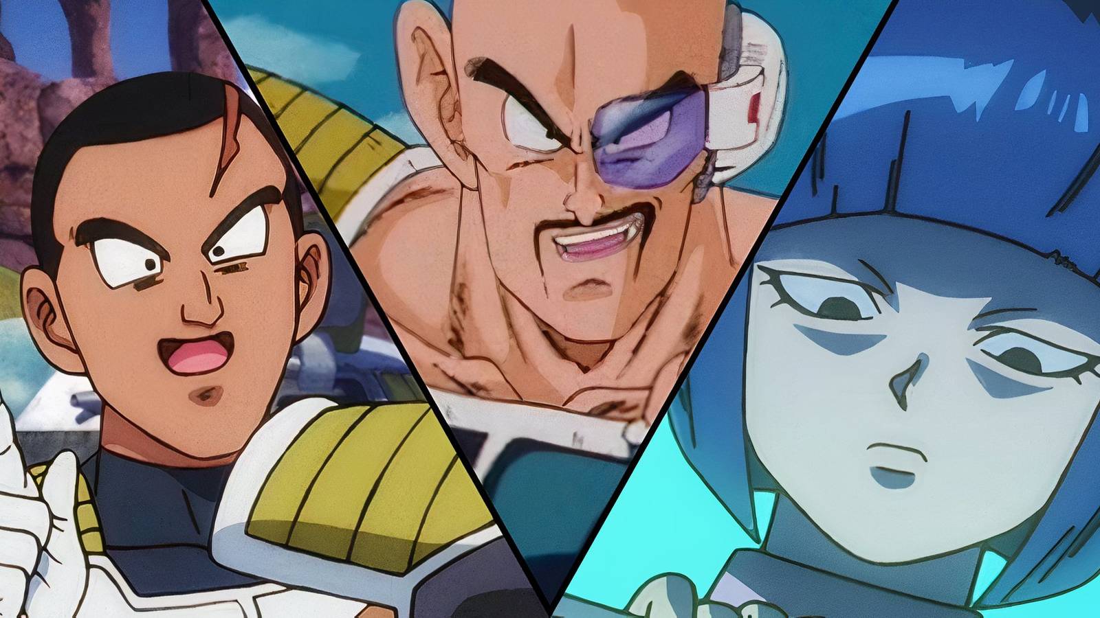 Leek, Nappa and Nion