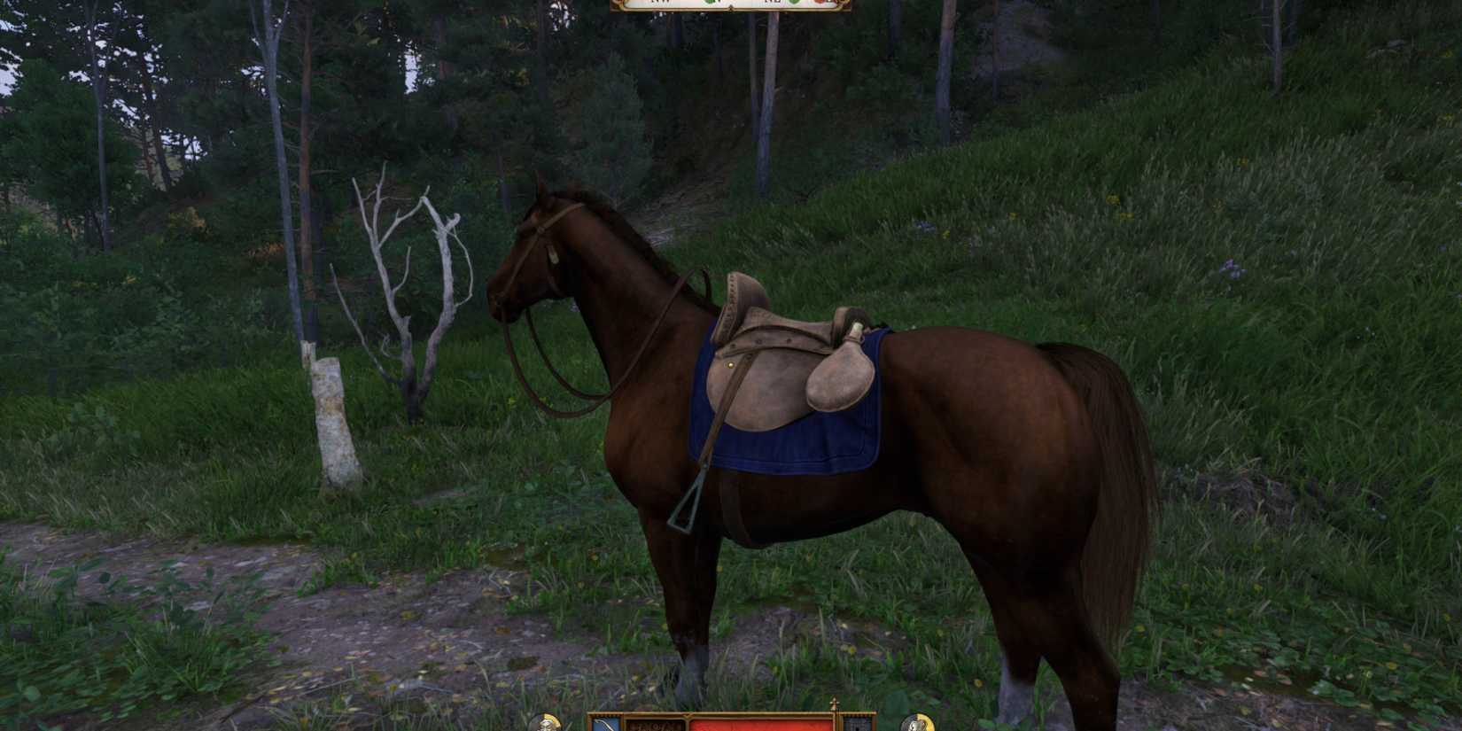 Ways To Get A Horse In Kingdom Come Deliverance 2 (2)