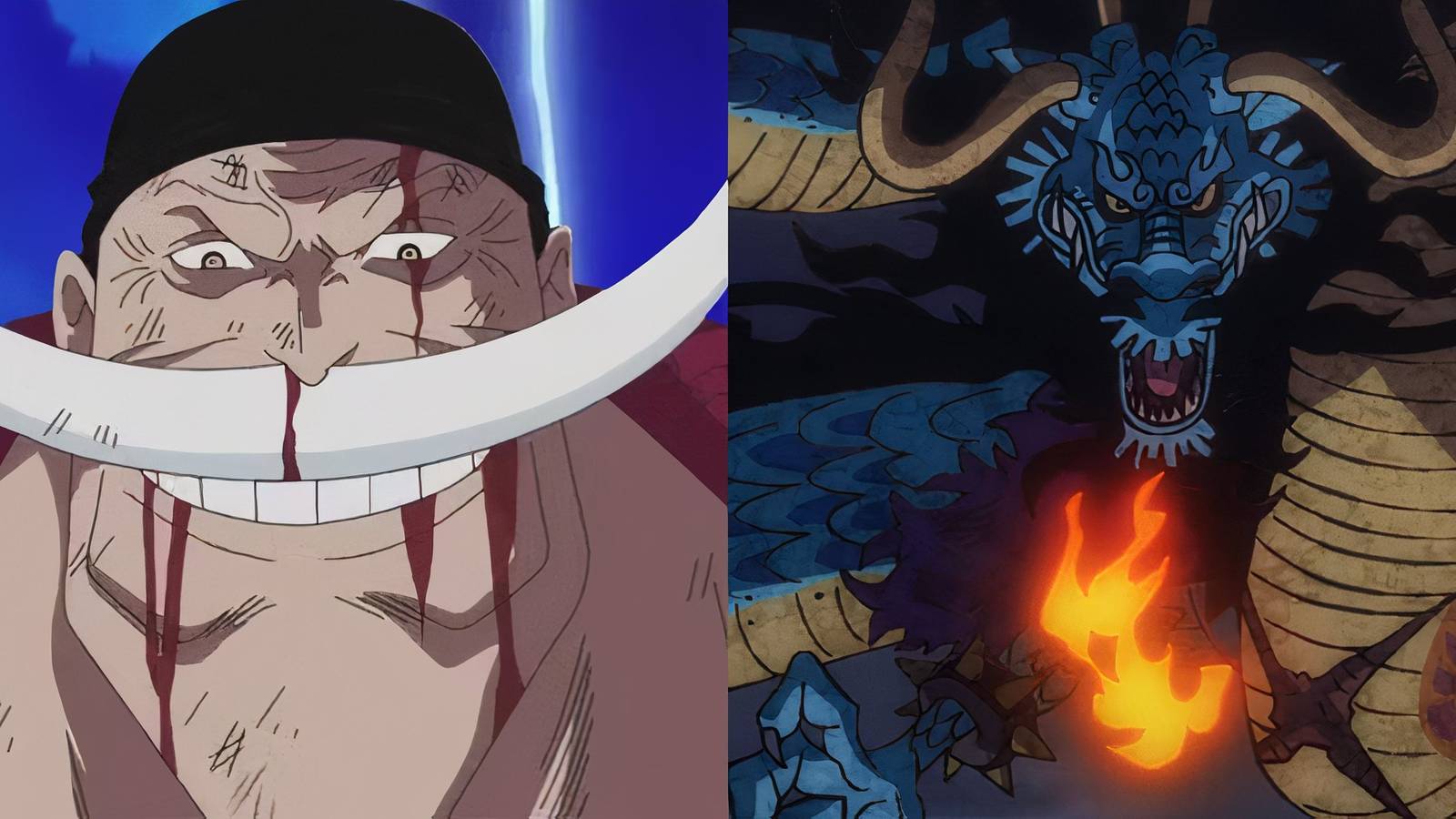 Whitebeard Kaido One Piece