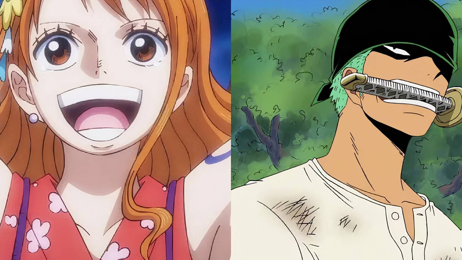 Zoro Nami One Piece