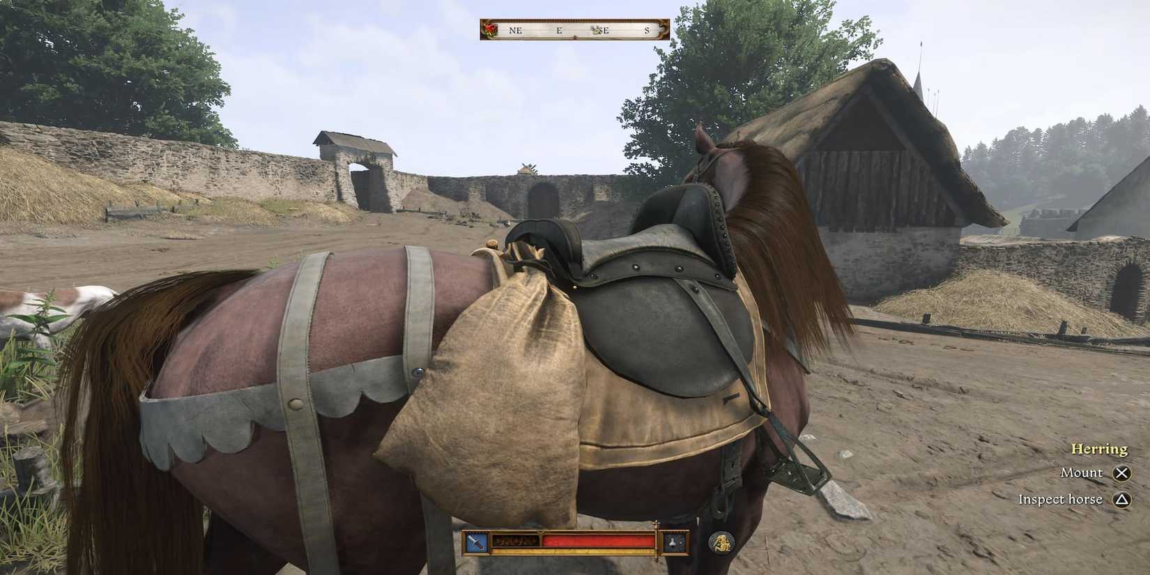 The Player Mounting Their Horse 