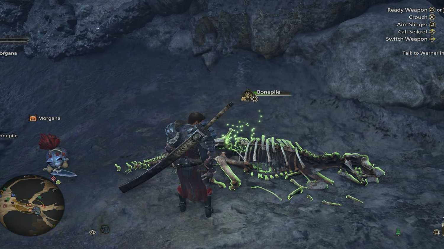 O que são ossos resistentes?