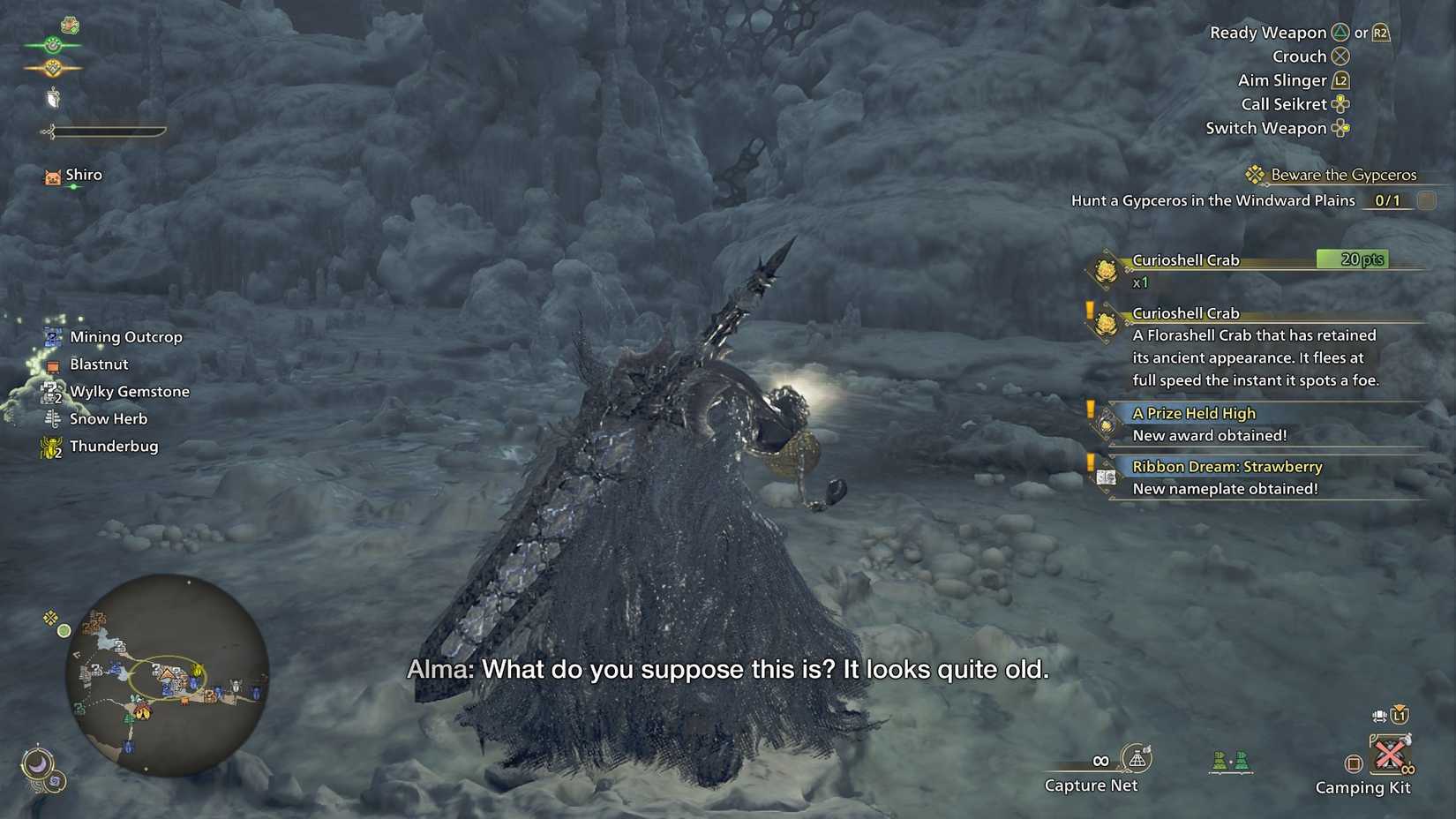 Picking up a Curioshell Crab in MH Wilds