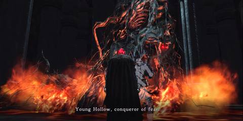 Aldia in Dark Souls 2