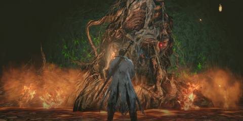 Aldia in Dark Souls 2