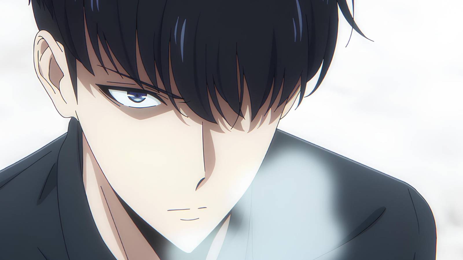 false rankers solo leveling sung jin woo