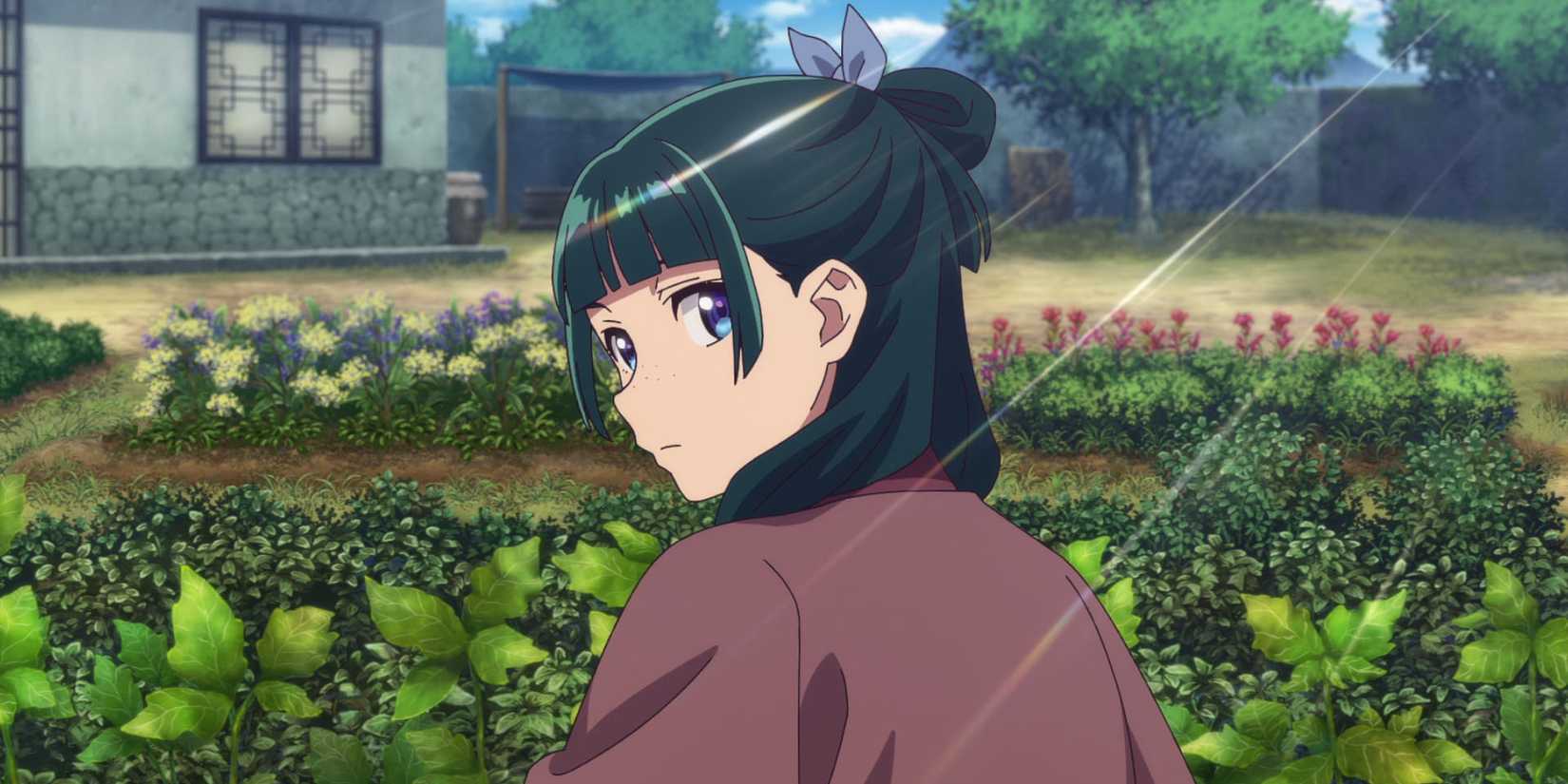 pharmacist-diaries-maomao-field-1