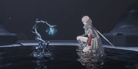 Arrisa near a branch in AI Limit